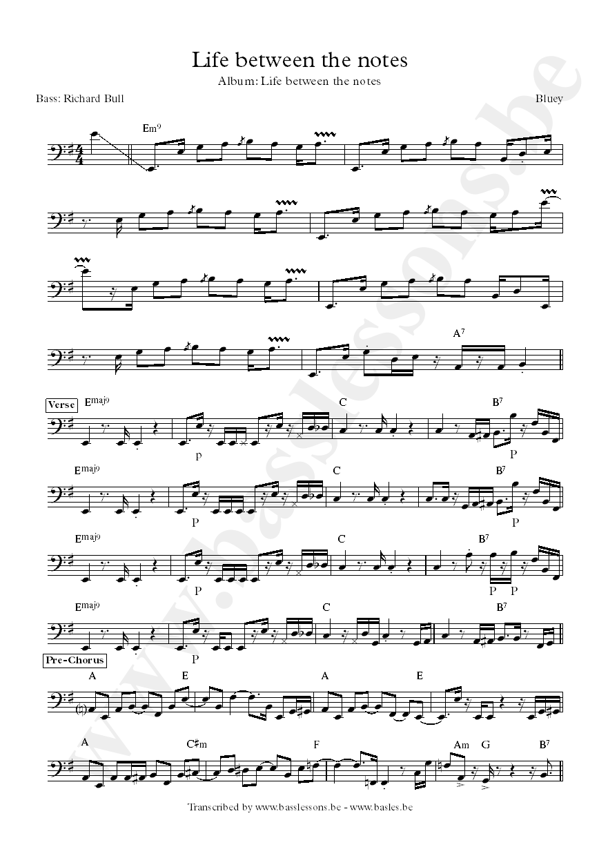 Bluey life between the notes bass transcription